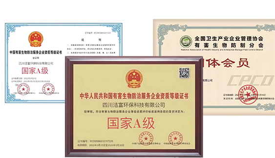 10多年行業(yè)精研